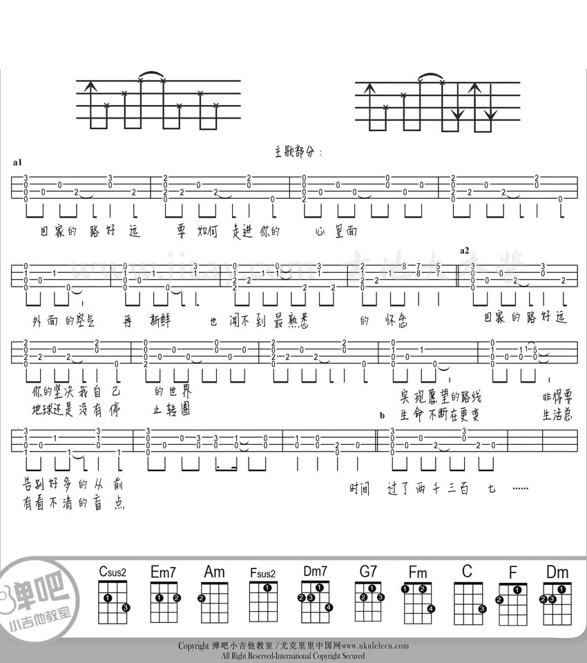 ޻ukulele