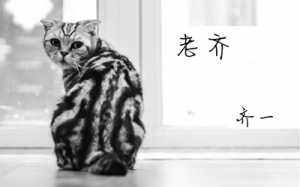 뼪 һ E 