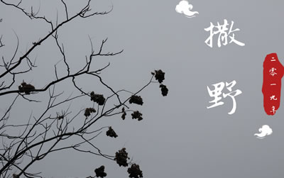 撒野吉他谱,奇然/沈谧仁 易唱网