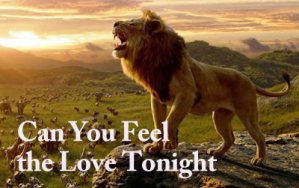 Can you feel the love tonight_ʨ_G