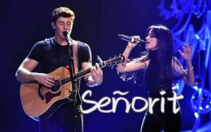 Senorita_Shawn Mendes/Camila Cabello_