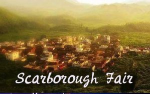 ˹޼м_C_Scarborough Fair