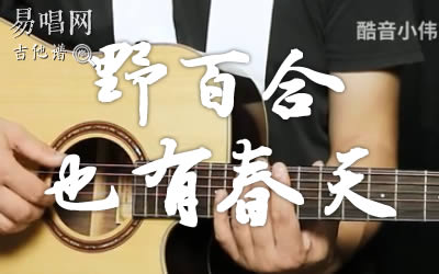 野百合也有春天罗大佑吉他谱 弹唱教学视频